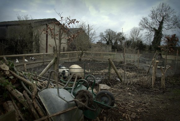 smallholding February